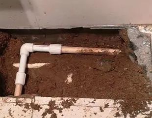 民乐测漏水哪家好