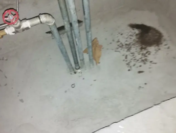 民乐卫生间测漏水价格明细